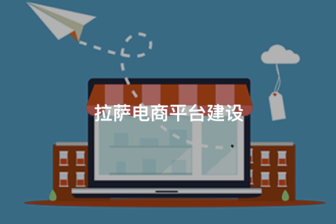 拉薩商城開發怎么做？主流拉薩商城網站搭建方式對比